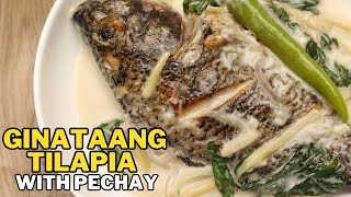 Ginataang Tilapia with Pechay [upl. by Bala648]