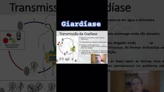 Giardíase biology biologia enem bio curiosidades shortvideo revisãoenem shortsvideo enem24 [upl. by Anma]