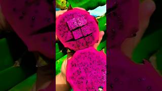 fruit review fruiting fruitcutting garden shorts [upl. by Daffie]