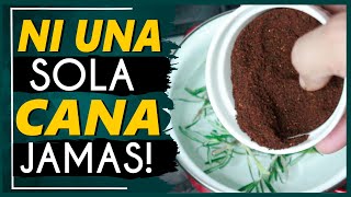 ¡Un Secreto Increíble Tapa las Canas de Forma Natural con Café y Romeo [upl. by Malva]