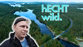 Barschangeln in Schweden  es wird hECHT wild [upl. by Dowzall616]