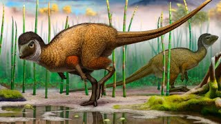 Kulindadromeus The Remarkable Feathered Ornithischian Dinosaur [upl. by Airdnaed]