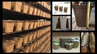 From plop to pot Making CowPots [upl. by Ninaj]