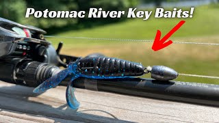 These Baits Get The Job Done Potomac River Tackle [upl. by Rolfston905]