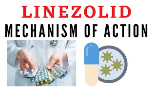 Linezolid mechanism of action [upl. by Adlay537]