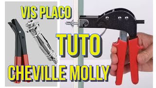 Comment utiliser une pince Molly pour fixer une cheville métallique sur du placo  Vis à placo tuto [upl. by Bevon]