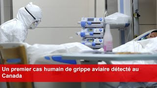 Un premier cas humain de grippe aviaire détecté au Canada [upl. by Politi]