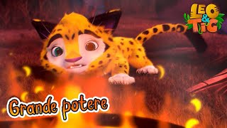 Leo e Tig Italia 🐯🦁 Grande potere 🔥🐲 Cartone animato per bambini [upl. by Lindahl]