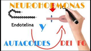 FIltrado Glomerular Neurohormonas  Autacoides Intrarrenales [upl. by Hiroshi]