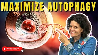 AUTOPHAGY  5 Keys to Maximize Autophagy Benefits [upl. by Kutzenco327]