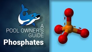 A Pool Owners Guide to Phosphates [upl. by Lladnik]