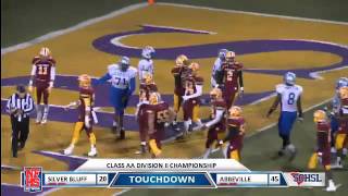 Silver Bluff 14 yd td run by Deangilo Drayton jr [upl. by Val327]