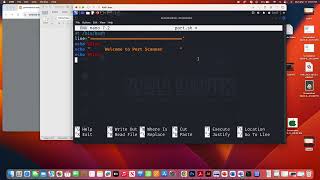 Port Scanner Using Bash Scripting [upl. by Keane]