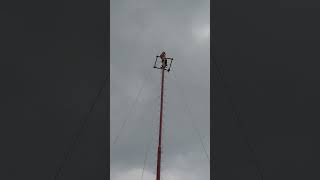 Voladores de Papantla en CDMX 05Septiembre2024 [upl. by Adnah]