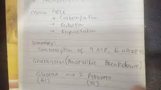 Bioenergetics I MDCAT 2024 I Important Points for MCQs by Dr Muhammad Saquib Qureshi [upl. by River491]