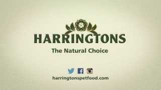 Harringtons TV Advert 2015 [upl. by Ihtak]