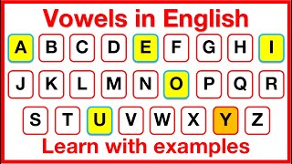 VOWELS amp CONSONANTS  Whats the difference  Learn with examples [upl. by Emylee]