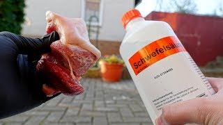 EXPERIMENT  Kann man mit Schwefelsäure Fleisch auflösen [upl. by Maggee]