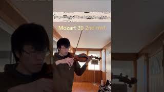 Mozart Symphony 39 movement two first violin excerpt [upl. by Etnwahs]