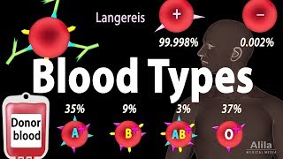 Blood Types Blood Group Systems and Transfusion Rule Animation [upl. by Leivad286]