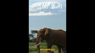 MOUNT KILIMANJARO Africa tallest mountain World highest free standing mountain facts shorts [upl. by Lerrad114]