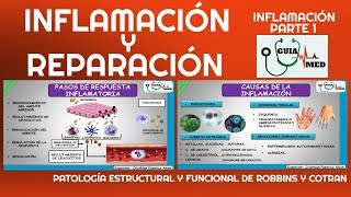 INFLAMACIÓN Y REPARACIÓN PATOLOGÍA ROBBINS  GuiaMed [upl. by Earized705]