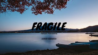 Tatsuro Yamashita  Fragile Cover [upl. by Perkoff555]