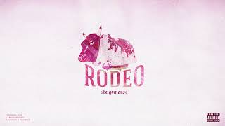 Tzigoiners  Rodeo  Official Audio [upl. by Yensehc]