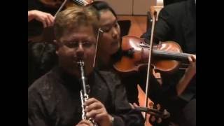 WA Mozart Clarinet Concerto K 622 II Adagio [upl. by Neufer]