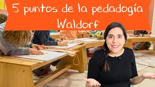 5 puntos de la pedagogía Waldorf [upl. by Ahseenak]