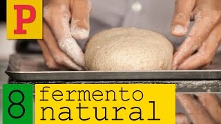 Como fazer fermento natural  Vídeo 8 [upl. by Jule]