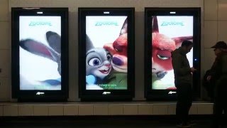 Zootopia Paris métro video 5 [upl. by Meletius]