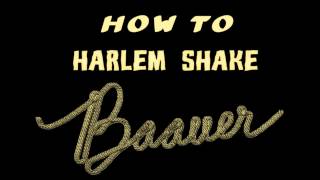 Baauer  Harlem Shake Official version HD [upl. by Letnuahs]