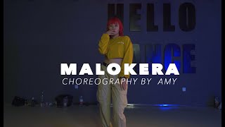 Malokera  AMY Choreo  HELLO DANCE [upl. by Obeded]