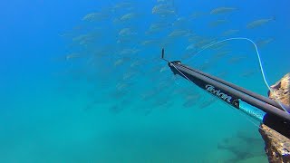 Spearfishing Amberjack μαγιατικο  Ricciola  Crete Well almost [upl. by Fleisig]