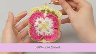 Crochet en 3D facile  Le premier carré  Fleur de cornouiller  TOURS 8 ET 9 [upl. by Hassett586]