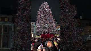 12 November Covent Garden  London [upl. by Maya1]