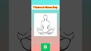 Chakras in human body  7 Chakra chakras sprituality shorts [upl. by Ploss143]