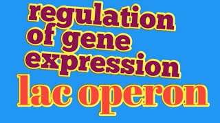 regulation of gene expressionlac operon neet biology [upl. by Liartnod196]