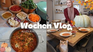 Ich Koche was unser Garten hergibt  VLOG [upl. by Nary]