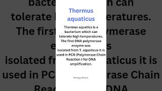 1st DNA 🧬 polymerase enzyme was obtained from Thermus aquaticus  PCR DNA amplification neet [upl. by Horace]