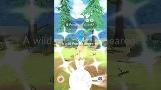 Ponyta Community Day sub for part 2 pokemon communityday shinypokemon [upl. by Arotahs]