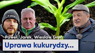 Uprawa i nawożenie pod KUKURYDZĘ u Wiesława Gryna  epole do popisu 84 [upl. by Dobrinsky]