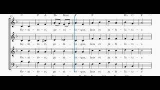 Tantum Ergo Haydn  SATB [upl. by Oballa]