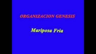 ORGANIZACION GENESIS  Mariposa Fria [upl. by Lowenstein932]