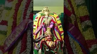 Garuda Seva Walajaperumalkoil Subscribe our Channel [upl. by Orat113]