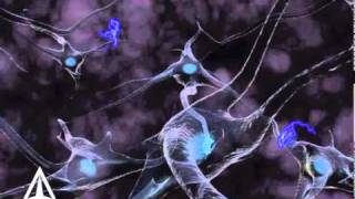 How Neurotransmission amp brain signals work  3D animation [upl. by Harutak743]