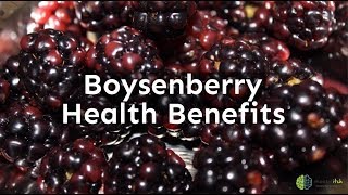 Boysenberry Health Benefits [upl. by Adian]