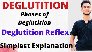 DEGLUTITION PHYSIOLOGY Phases of Deglutition Deglutition Reflex physiology [upl. by Nauquf]