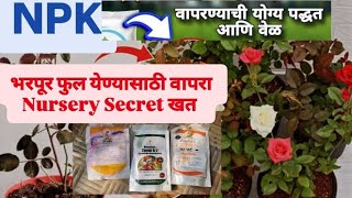 NPK for indoor plantsNursery secret fertilizer for flowering plantsNPK वापरण्याची पद्धत flowers [upl. by Georas491]